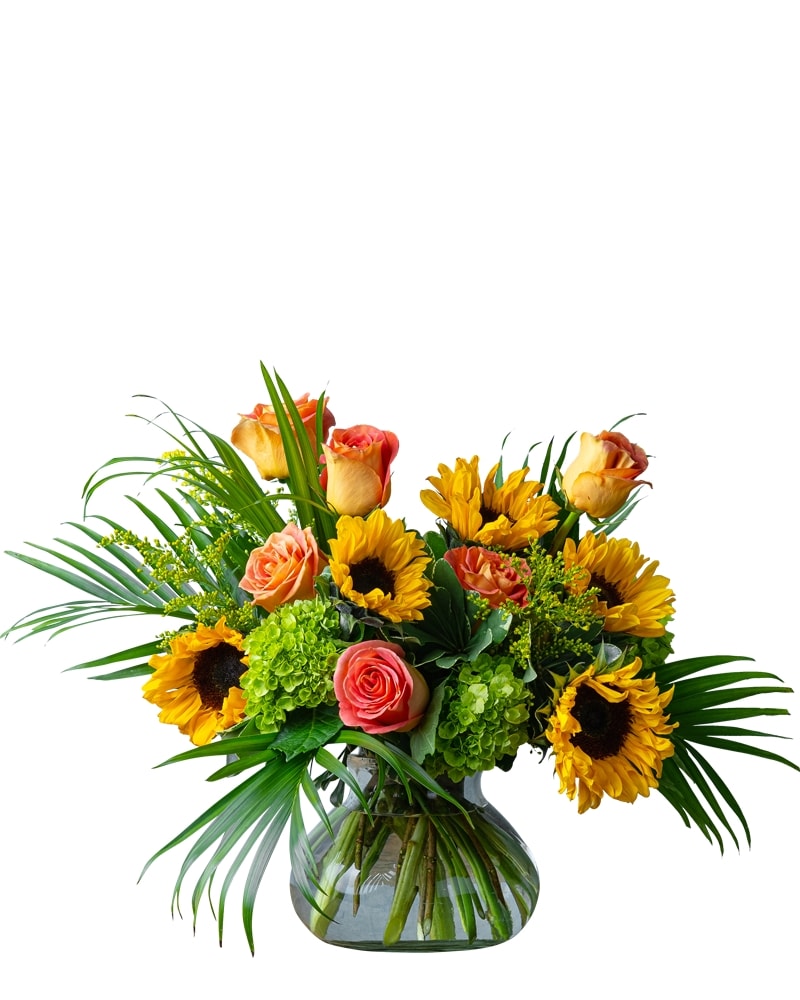 清春　L (c/w KISS IN THE FLOWER) Sunflower Kisses in Cleveland OH - Segelin's Florist & Flower Delivery