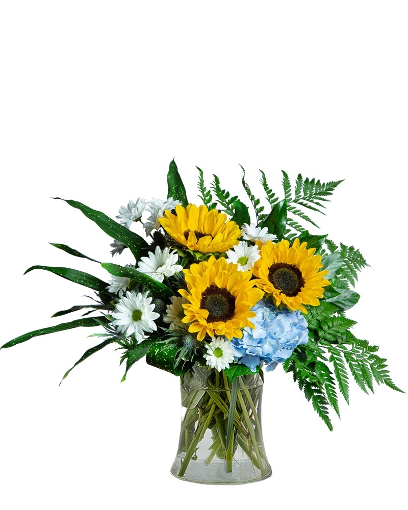 Flower delivery in Plantation FL