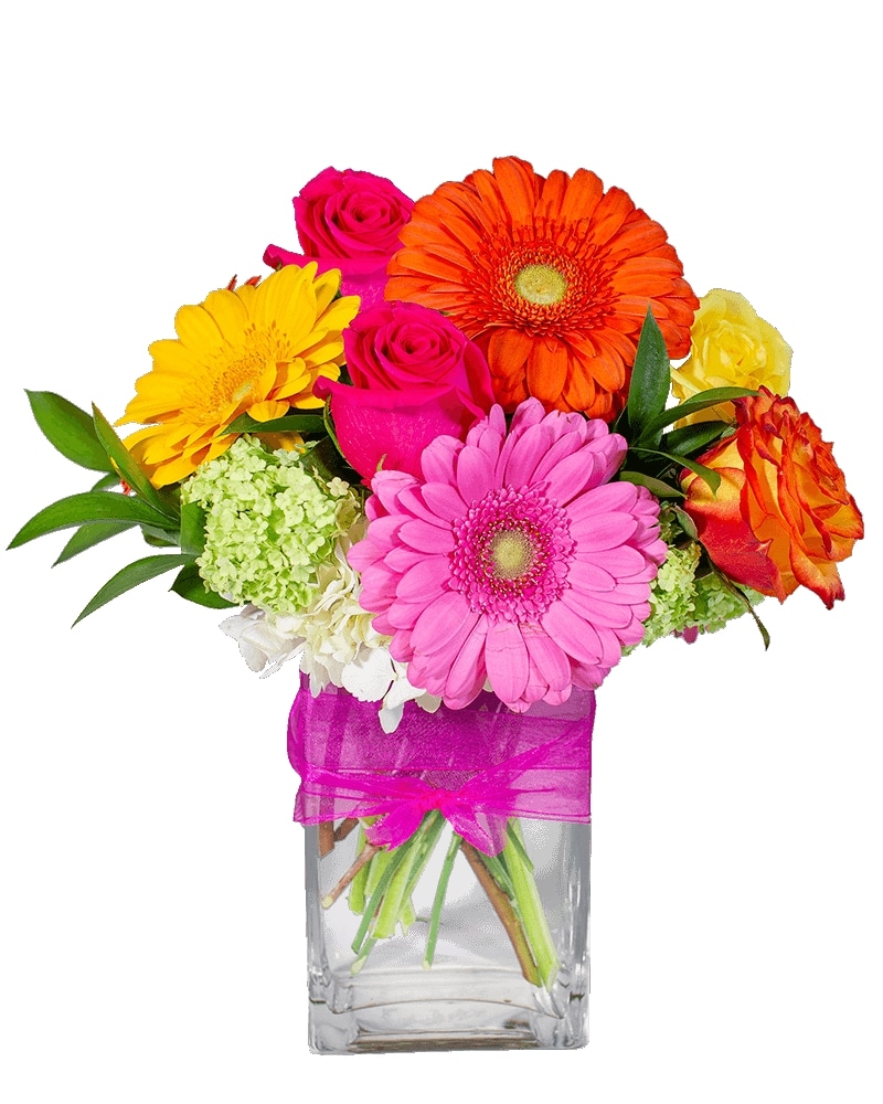 その他 flowers Warm Welcome in Oklahoma City OK - New Leaf Casady Square