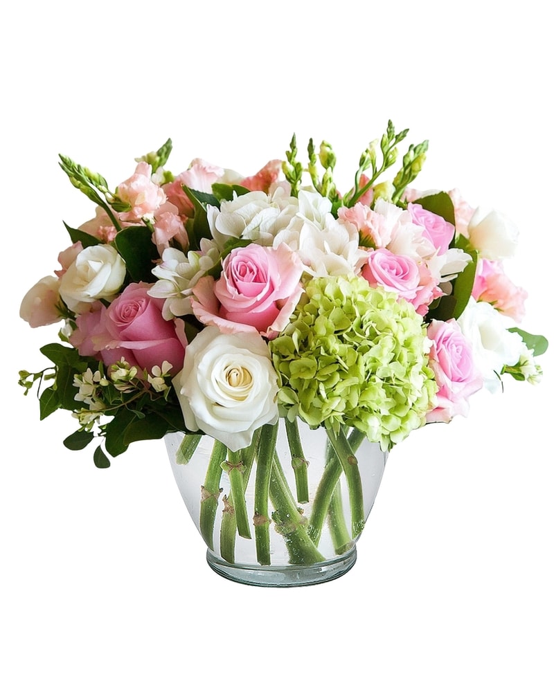 Serene Delight in Springfield OH - Schneider's Florist