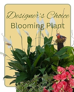 Flower Delivery Dayton MN Delivery Crystal MN - Cardell Floral & Flower  Delivery