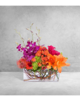 Standard size, 14 inches height and 14 inches wide.