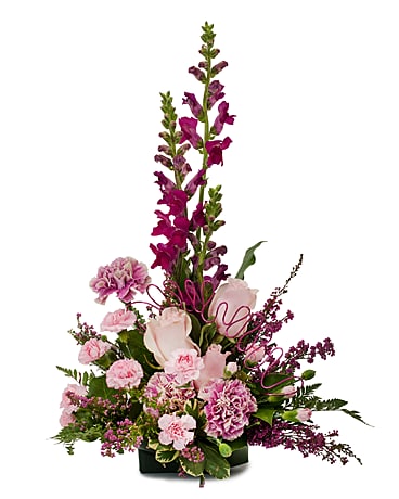 Standard size, 16 inches height and 11 inches wide.