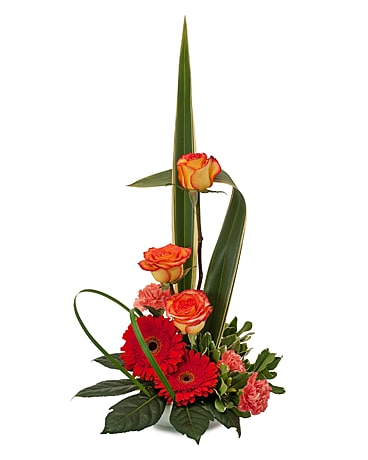Standard size, 18 inches height and 9 inches wide.
