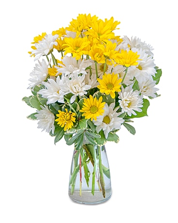Dazed Daisies Flower Arrangement