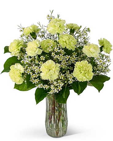 A Dozen Sweet Green Carnations Flower Arrangement