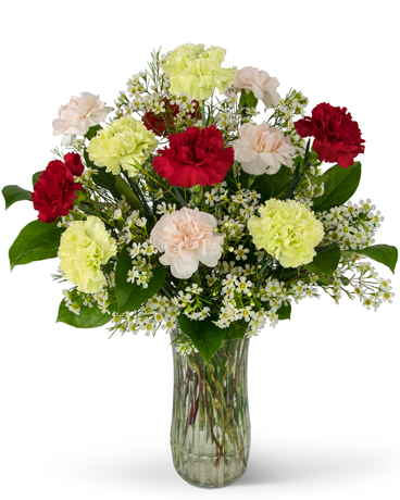 A Dozen Colorful Carnations Flower Arrangement