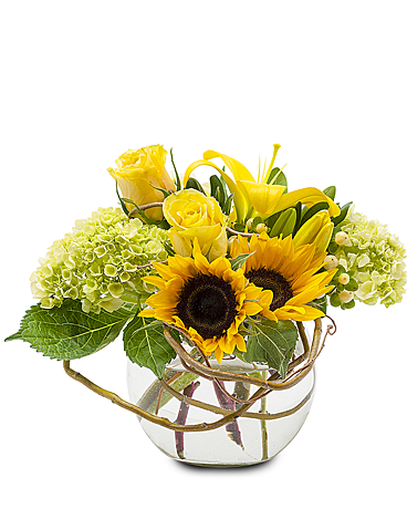 Sunshine Rays Flower Arrangement