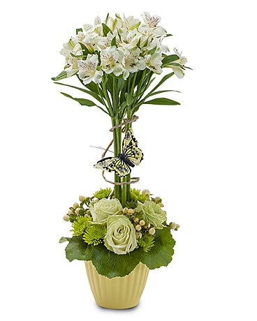 Izzy Belle Flower Arrangement