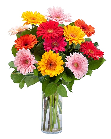 Grand Gerbera Flower Arrangement