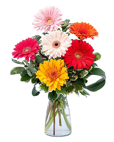 Colorful! Flower Arrangement