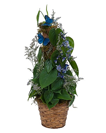 Plant Basket with Butterflies Flower Arrangement