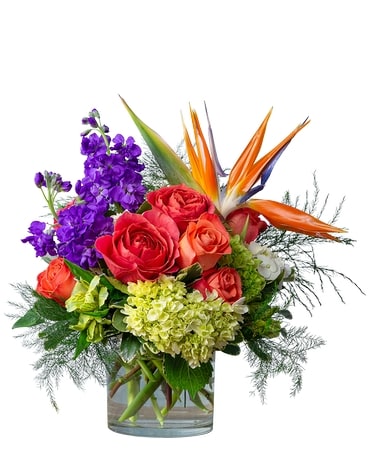 Coral Sunrise Flower Arrangement