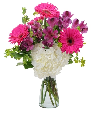 Too Cute Flower Arrangement