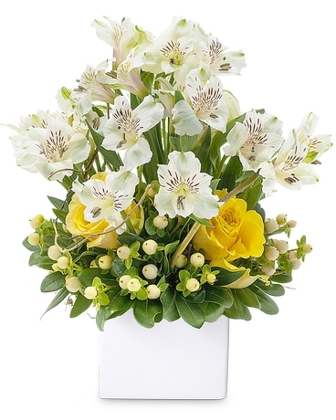 Annabelle Flower Arrangement