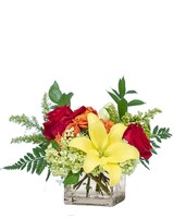 Standard    size, 9 inches height and 9 inches wide.