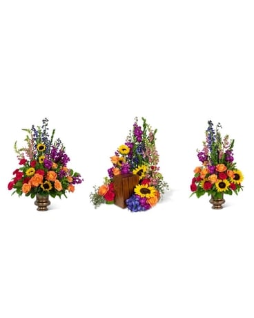 Prismatic Rays Sympathy Collection in St. Louis MO - Stems Florist & St ...