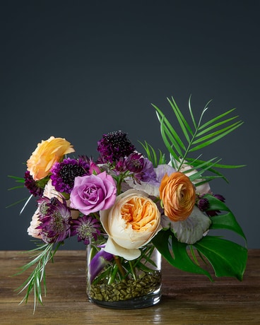 Aurora in St. Louis MO - Stems Florist & St. Louis Flower Delivery