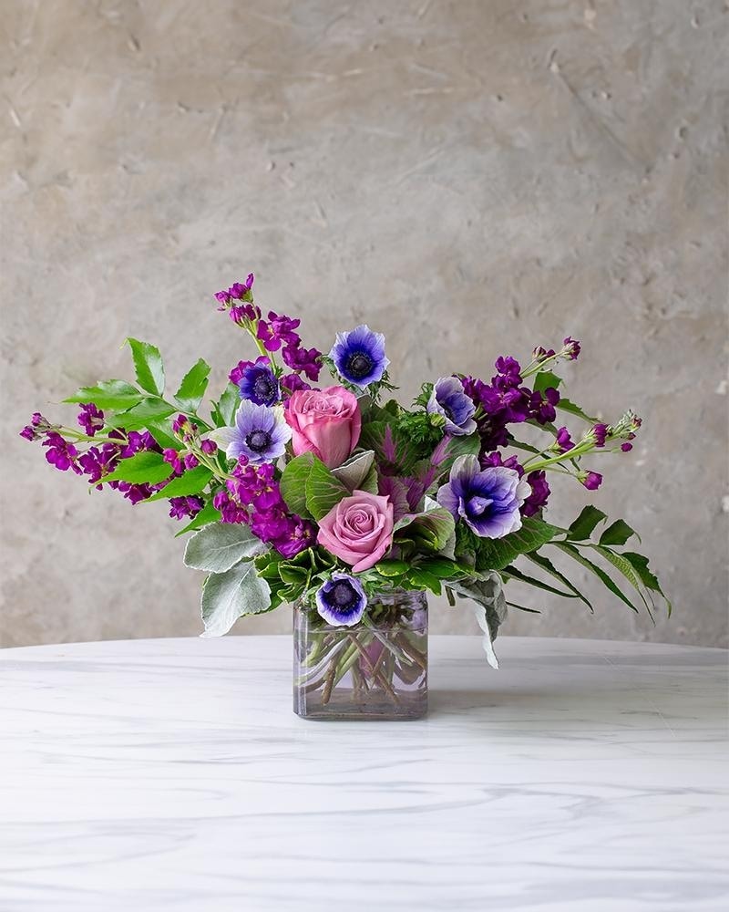 Blueberry in Plantation FL Plantation Florist & Flower Delivery