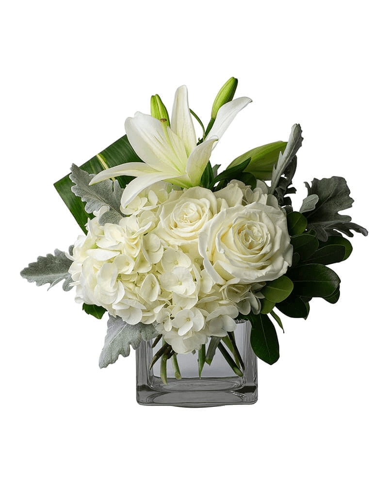 skusku13133529.jpg?1728405132470