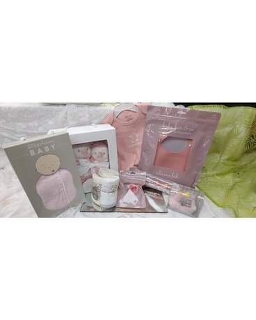 Baby Girl Shower Gift Gifts