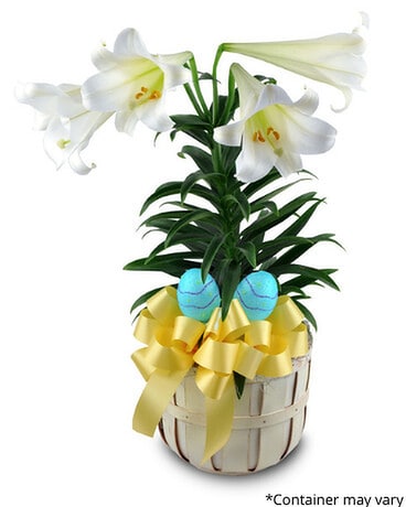 Easter Lily Flower Arrangement
