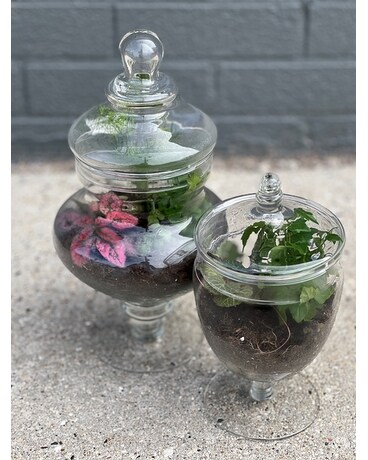 Alfa's Glass Terrarium Flower Arrangement