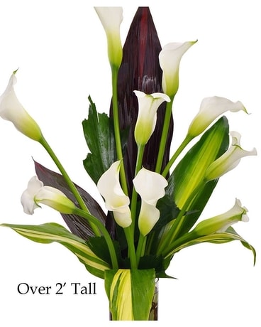 Majestic Calla Lilies Flower Arrangement