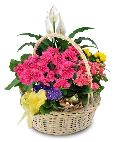 Blooming Bird Garden Basket Basket Arrangement