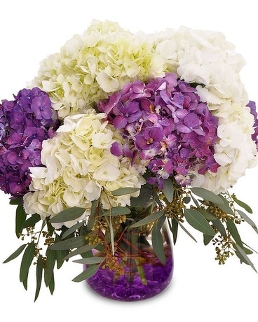 Purple Haze Flower Arrangement