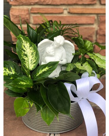 Sympathy Dish Garden Flower Arrangement