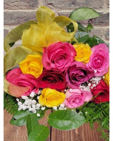 Doz Asst Roses No Vase
