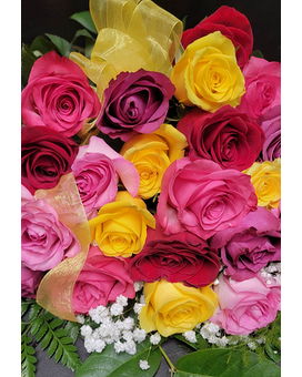 2 Doz Asst Roses No Vase