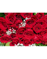 2 Dozen roses size,  inches height and  inches wide.