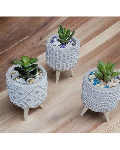 Mini Succulent Trio