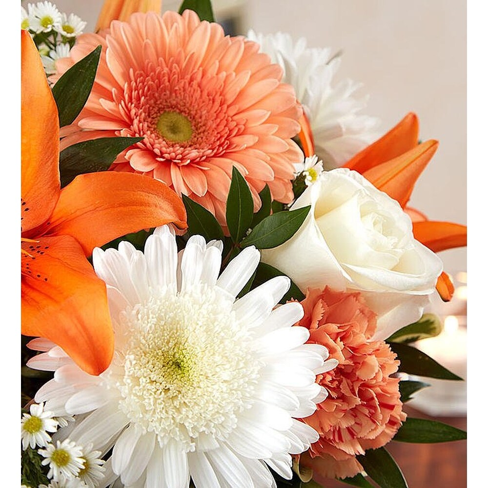 Orange And White Delight in Jupiter FL - Anna Flowers of Jupiter