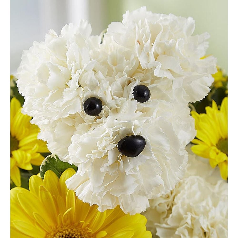 GET WELL DOG BUNDLE in Jupiter FL - Anna Flowers of Jupiter