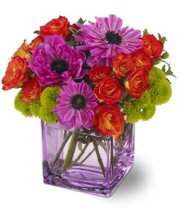 Teleflora's Brilliant Blossoms Flower Arrangement