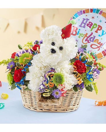 BIRTHDAY DOG BUNDLE Flower Arrangement