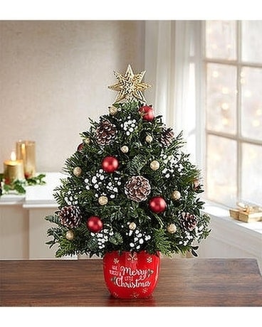 MERRY LITTLE CHRISTMAS BOXWOOD TREE Flower Arrangement