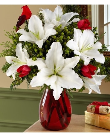 ANNA FLOWERS CHRISTMAS LILY DELIGHT Flower Arrangement