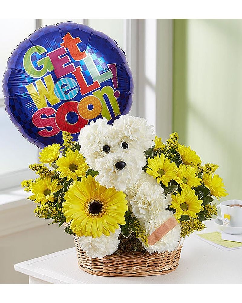 GET WELL DOG BUNDLE in Jupiter FL - Anna Flowers of Jupiter