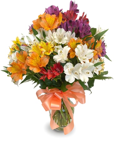 Always Alstroemeria Flower Arrangement