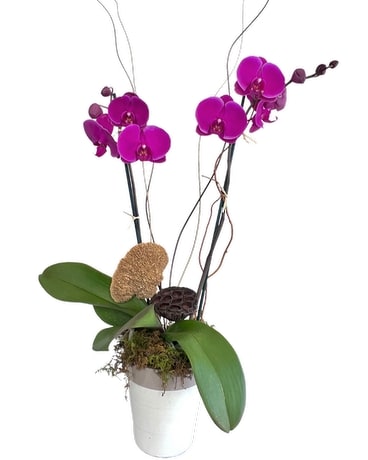 Double Stem Orchid Flower Arrangement