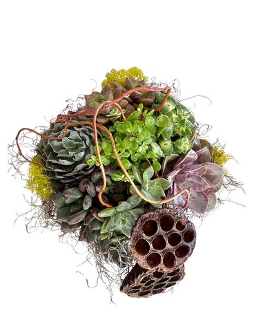 Deluxe Succulent Garden Flower Arrangement