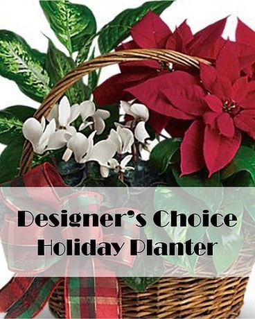 Holiday Living Planter Flower Arrangement