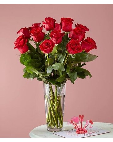 Long Stem Red Rose Bouquet & Lovepop® Pop-Up Card Flower Arrangement
