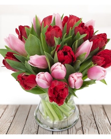 True Love Tulips Flower Arrangement