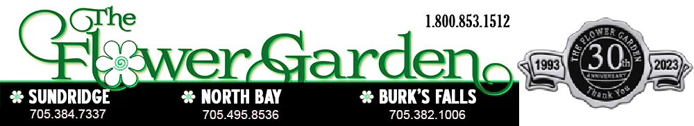 The Flower Garden, 30 Years from 1993 to 2023