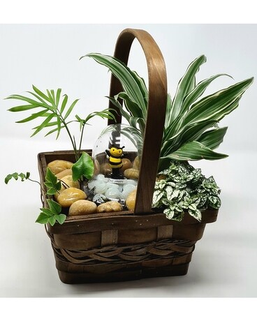 Be Happy Tropical Planter Plant